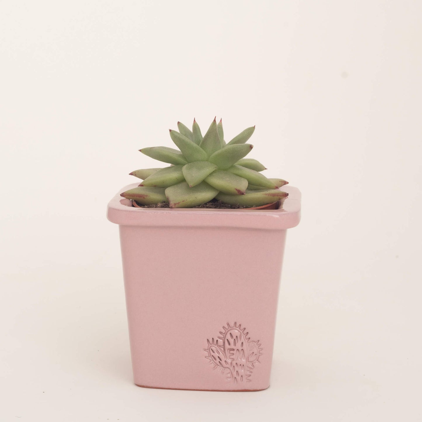VASO QUADRADO PEQUENO 10x10 - BRILHO