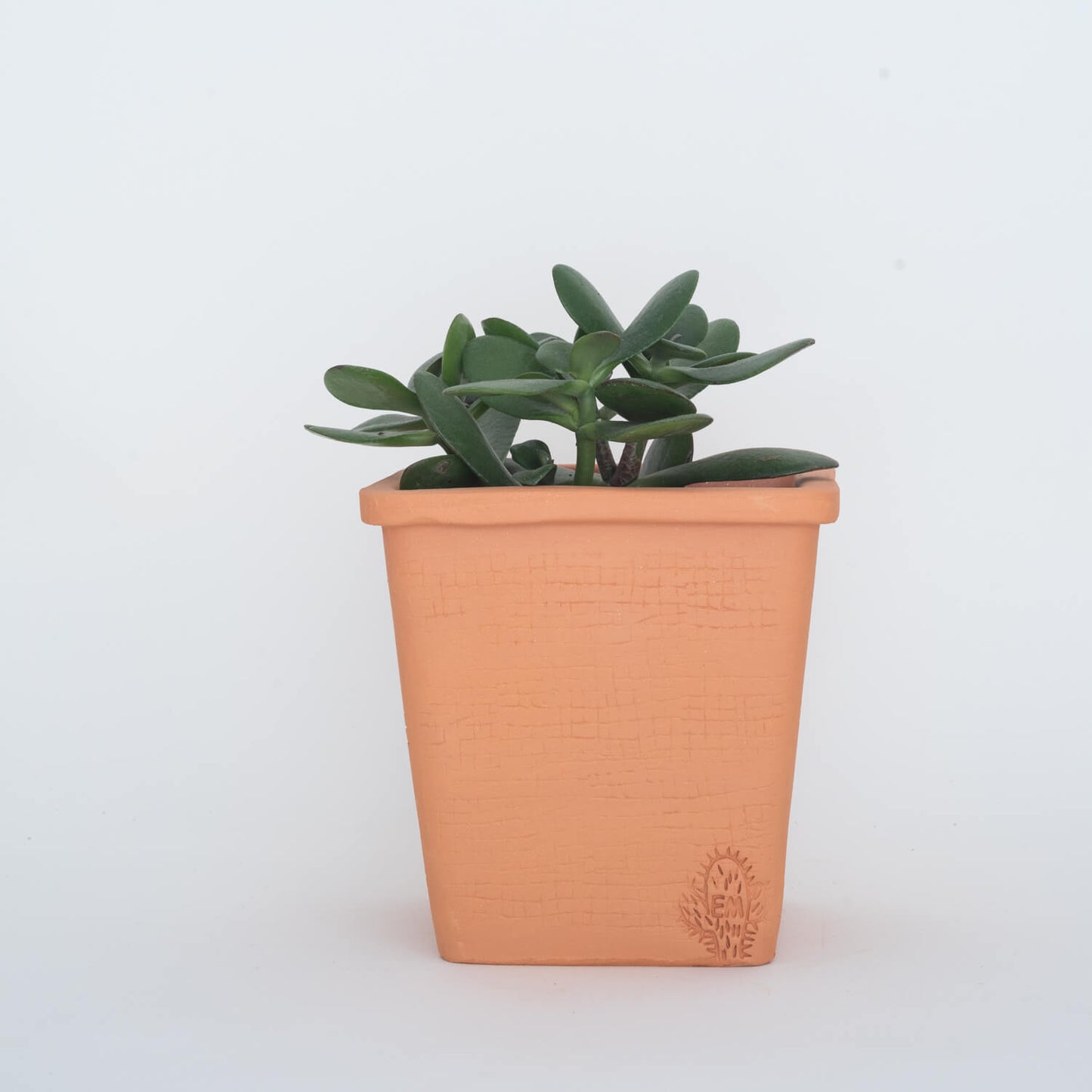 VASO QUADRADO MÉDIO 14x14 - RATTAN TERRACOTA