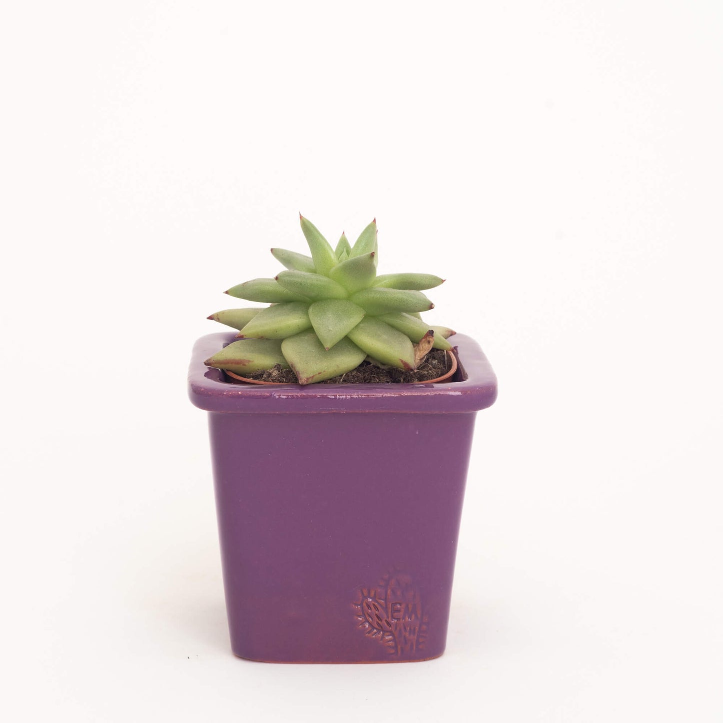 VASO QUADRADO PEQUENO 10x10 - BRILHO
