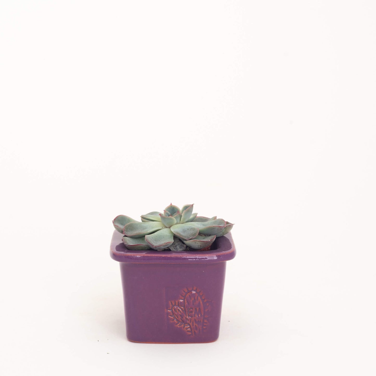 VASO QUADRADO MINI 6x6 - BRILHO
