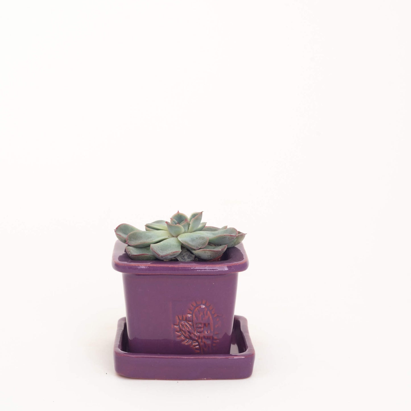 VASO QUADRADO MINI 6x6 - BRILHO