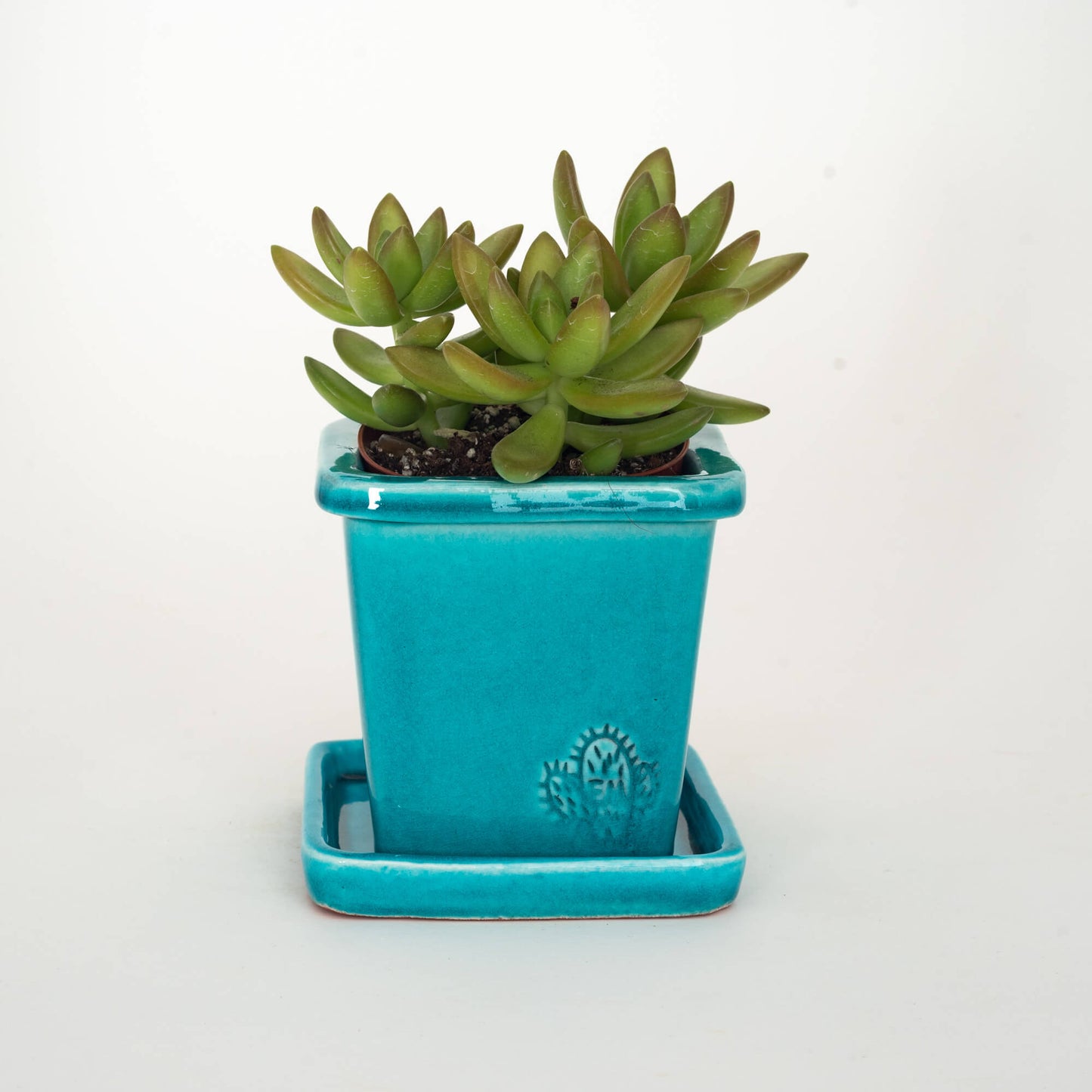 VASO QUADRADO PEQUENO 10x10 - BRILHO