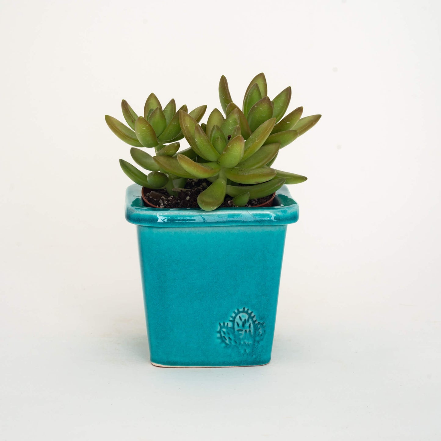 VASO QUADRADO PEQUENO 10x10 - BRILHO