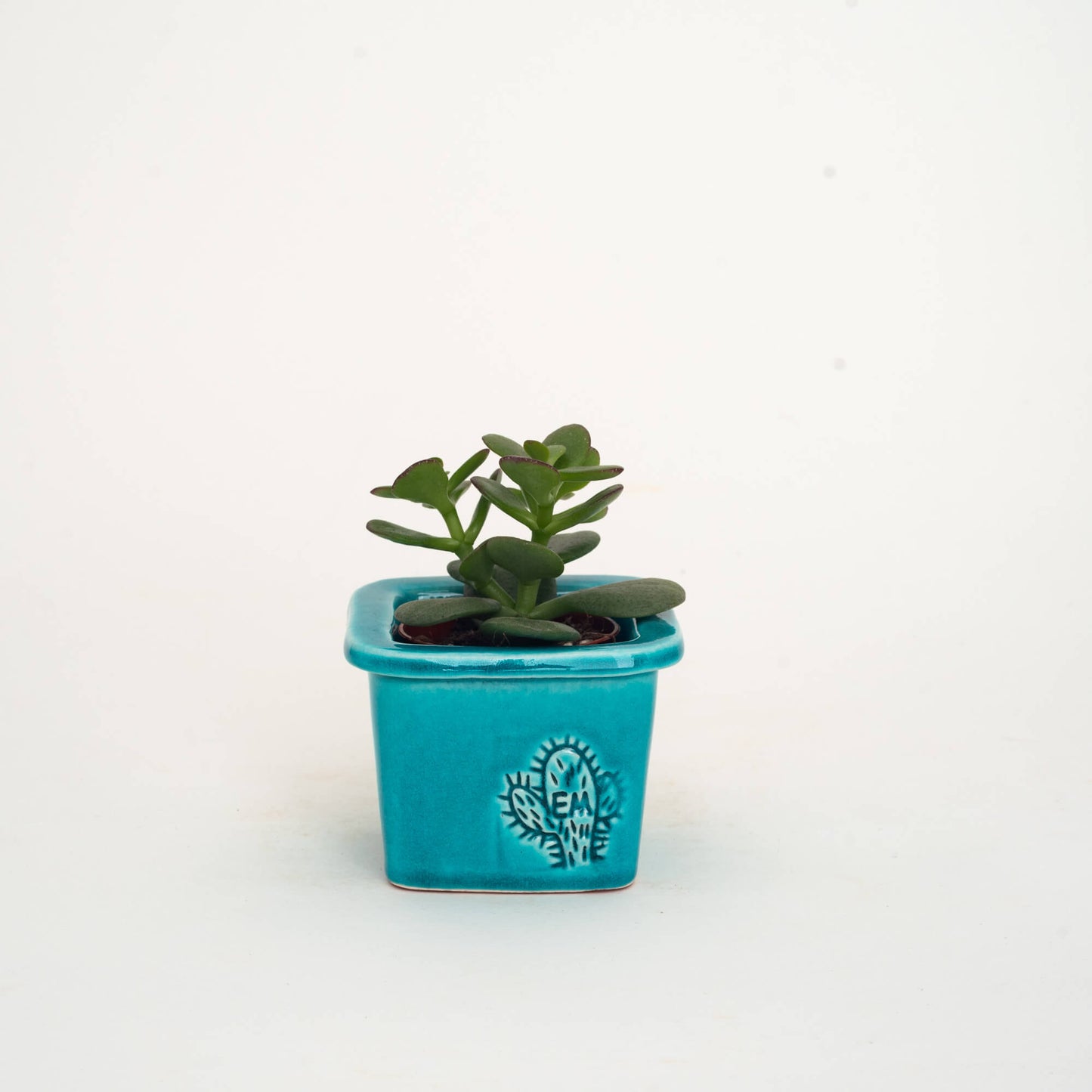 VASO QUADRADO MINI 6x6 - BRILHO