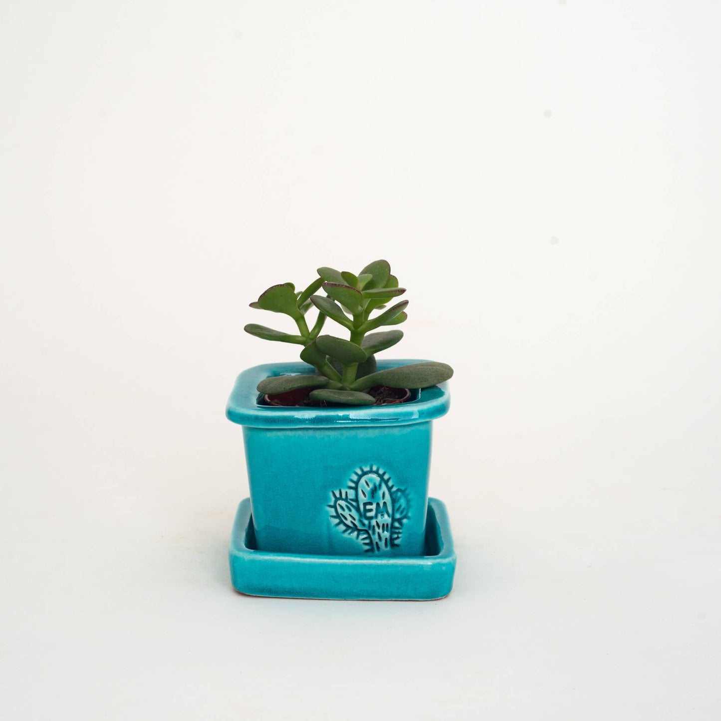VASO QUADRADO MINI 6x6 - BRILHO