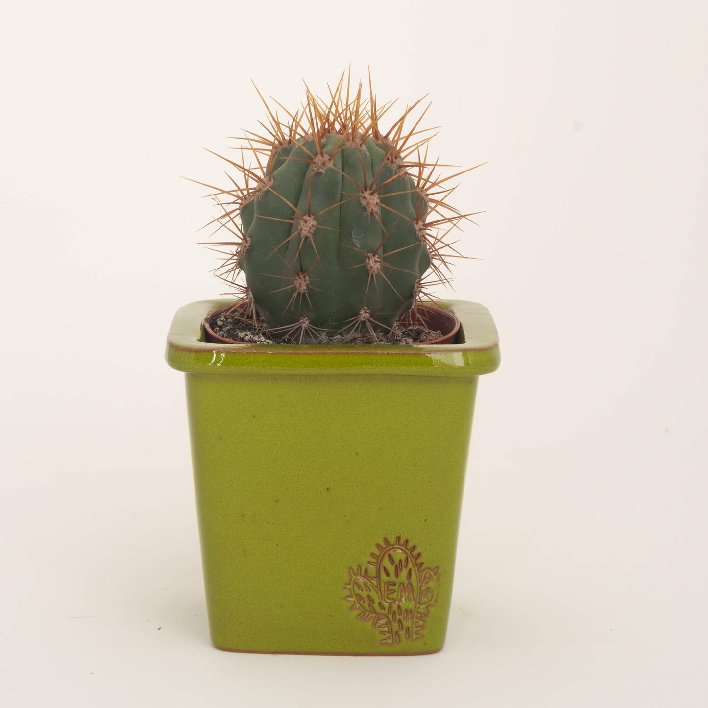 VASO QUADRADO PEQUENO 10x10 - BRILHO