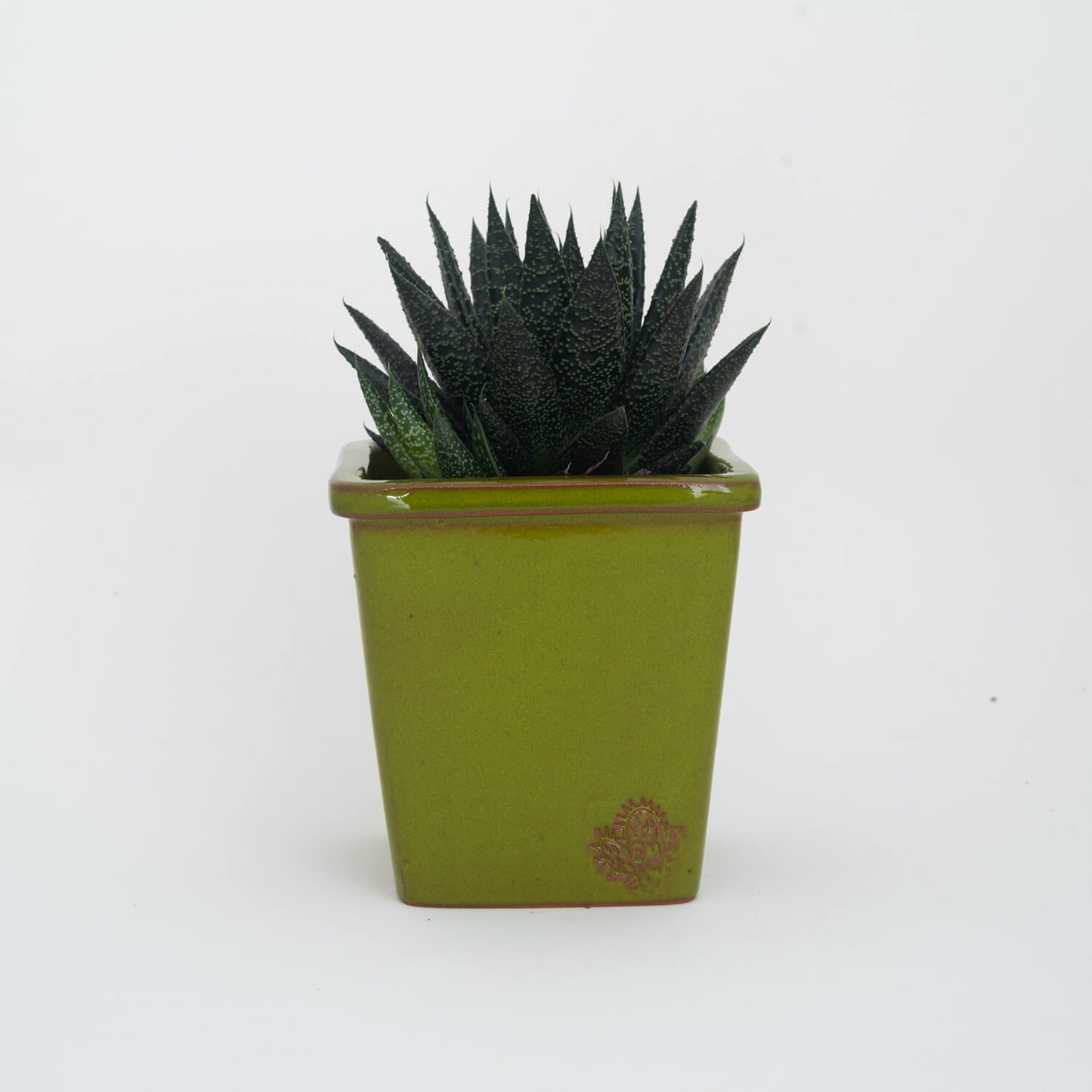 VASO QUADRADO MÉDIO 14x14 - BRILHO