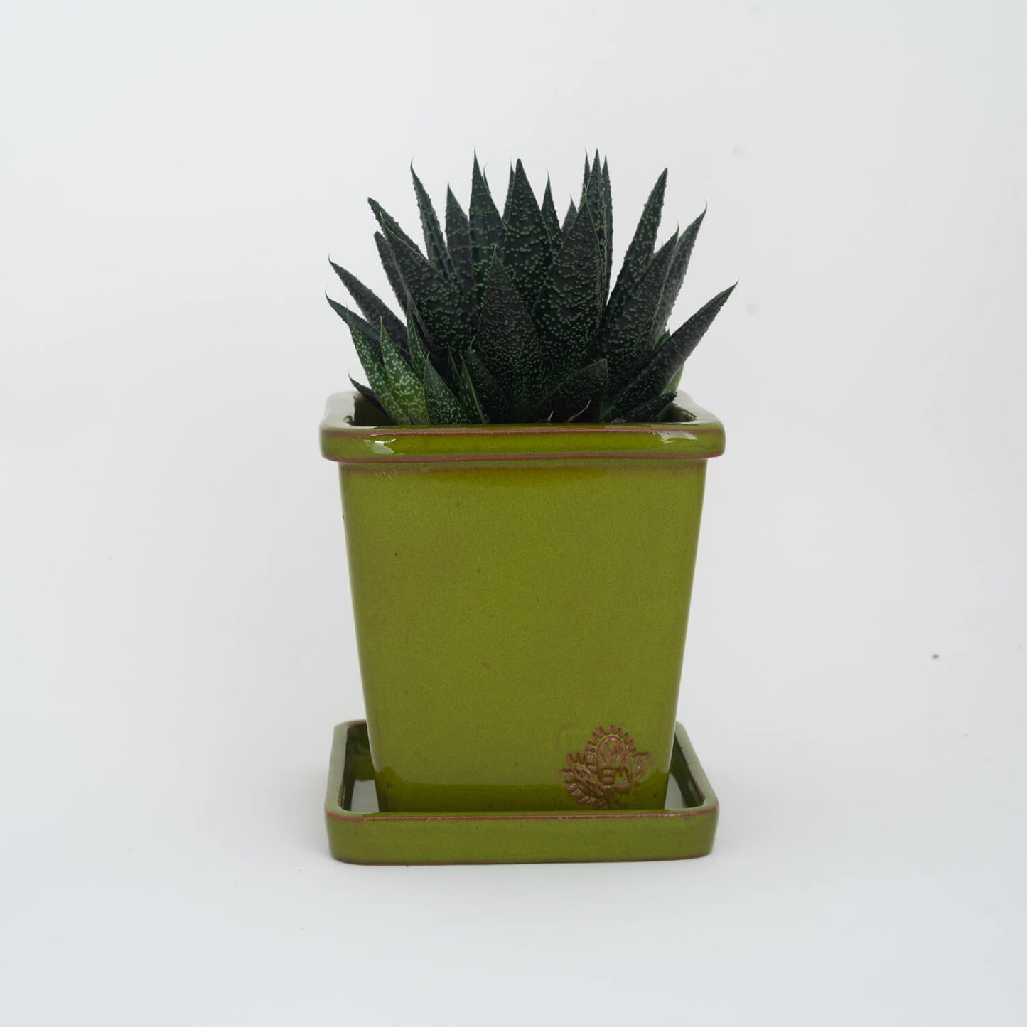 VASO QUADRADO MÉDIO 14x14 - BRILHO