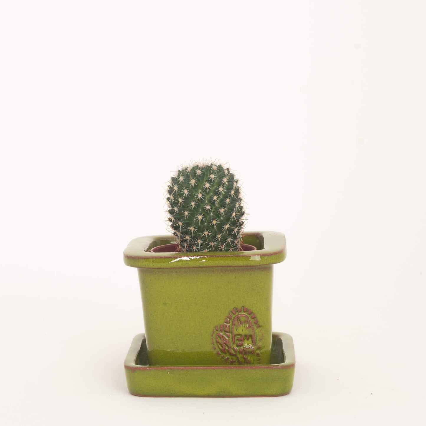 VASO QUADRADO MINI 6x6 - BRILHO