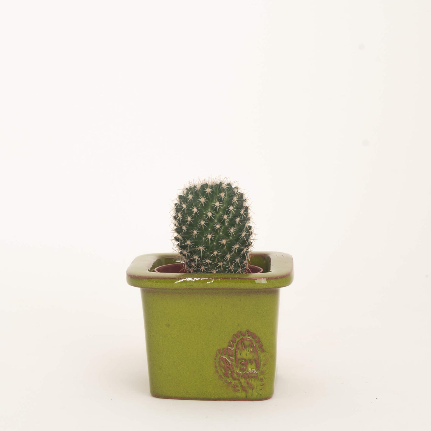 VASO QUADRADO MINI 6x6 - BRILHO