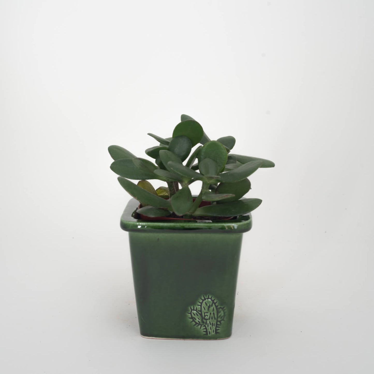 VASO QUADRADO PEQUENO 10x10 - BRILHO