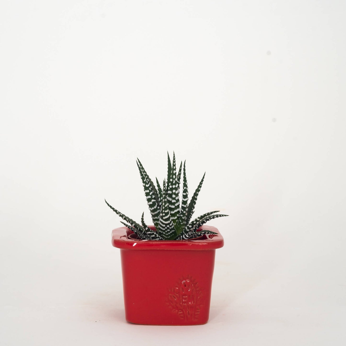 VASO QUADRADO MINI 6x6 - BRILHO